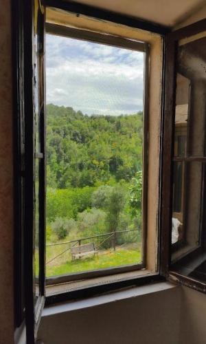 Vista