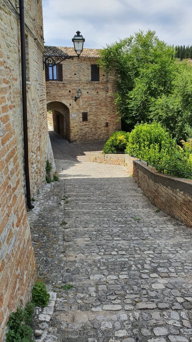 ruderi-dellantico-castello-grottammare-768x1364